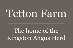Welcome to Tetton Farm